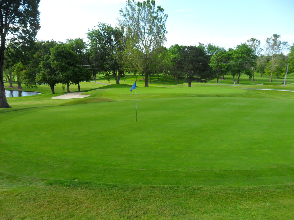 Gallery • Zintel Creek Golf Club Gallery • Zintel Creek Golf Club