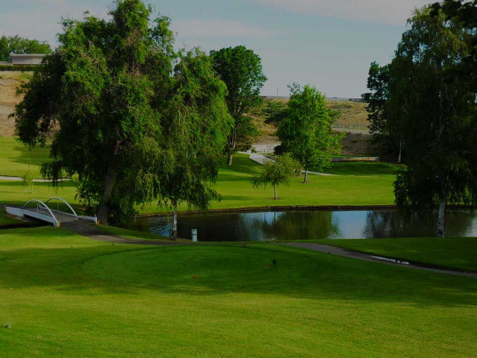 Home Golf Club • Zintel Creek Golf Club